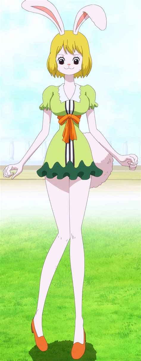 Character: Carrot (One Piece) 